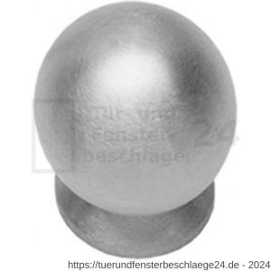 Intersteel Essentials 8510 Möbelknopf 25 mm kugelförmig mit Unterlegplatte Edelstahl gebürstet - D26007877 - afbeelding 1