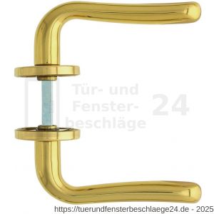 Intersteel Living 0198 Türdrücker Saturnus auf Rosette 49x7 mm Messing lackiert - D26000327 - afbeelding 2