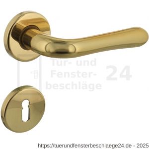 Intersteel Living 0198 Türdrücker Saturnus auf Rosette 49x7 mm mit BB-Rosetten Messing lackiert - D26010580 - afbeelding 1