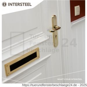 Intersteel Living 3820 Schutzbeschlag SKG*** oval mit Kernziehschutz und Profilzylinder-Lochung 72 mm Messing lackiert - D26003419 - afbeelding 3