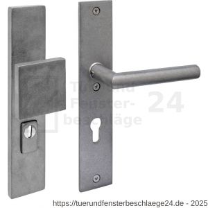 Intersteel 3962Z SKG3 Sicherheitsbeschlag rechteckig 250x50 mm Griff-Drücker Jura Profilzylinder Lochung 72 mm mit Kernziehschutz edelstahl vibriert - D26010850 - afbeelding 1