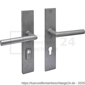 Intersteel 3964 SKG3 Sicherheitsbeschlag rechteckig 250x50 mm beidseitig Drücker Jura mit Federmechanismus Profilzylinder Lochung 72 mm mit Kernziehschutz edelstahl vibriert - D26010848 - afbeelding 1