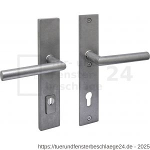 Intersteel 3964 SKG3 Sicherheitsbeschlag rechteckig 250x50 mm beidseitig Drücker Jura mit Federmechanismus Profilzylinder Lochung 92 mm mit Kernziehschutz edelstahl vibriert - D26010847 - afbeelding 1