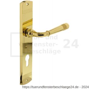 Intersteel Living 1705 Türdrücker Helena auf Schild mit Profilzylinder-Lochung 72 mm Messing lackiert - D26004789 - afbeelding 1